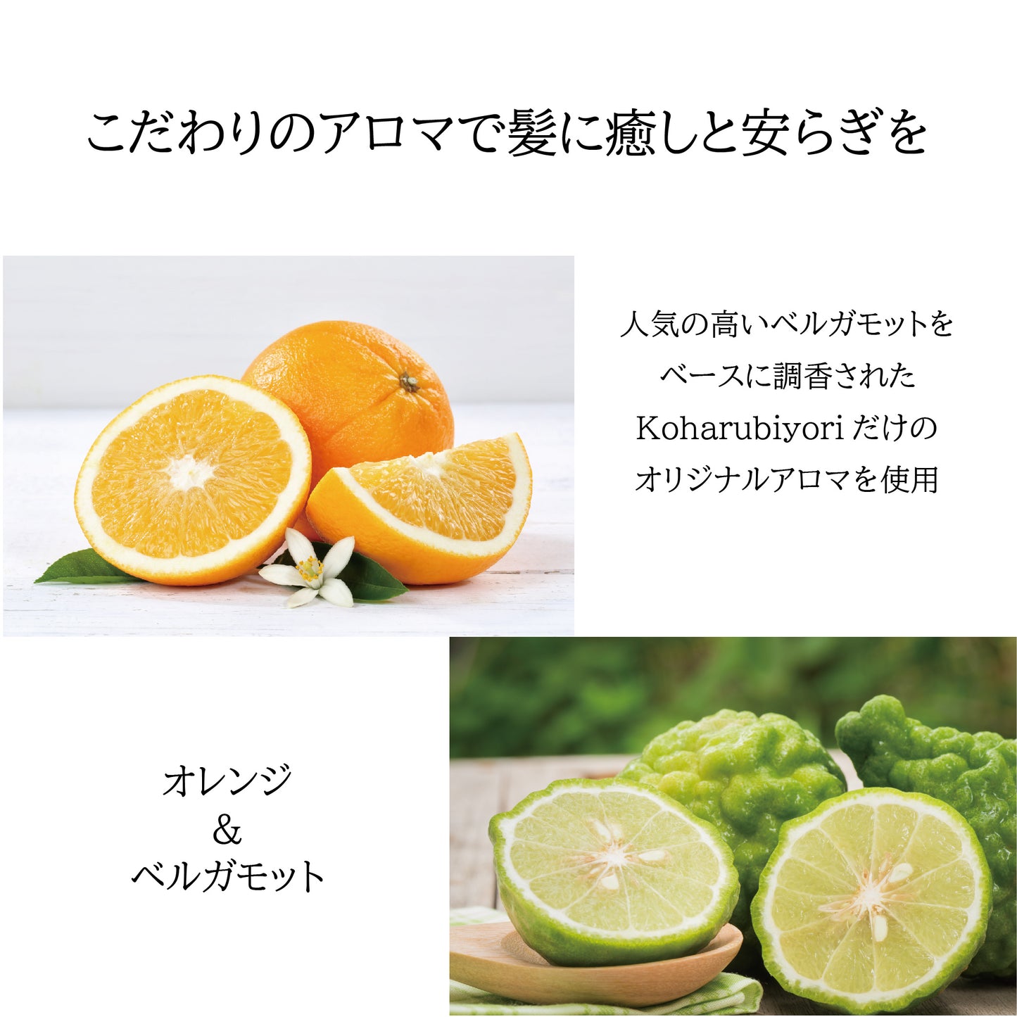 Koharubiyori スカルプシャンプーバー 2個セット