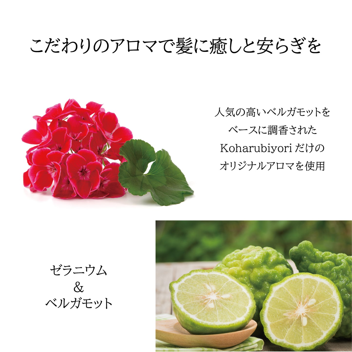 Koharubiyori スカルプシャンプーバー へちまトレイ付き