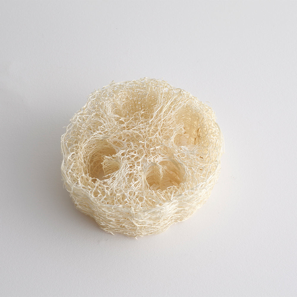 Koharubiyori スカルプシャンプーバー へちまトレイ付き